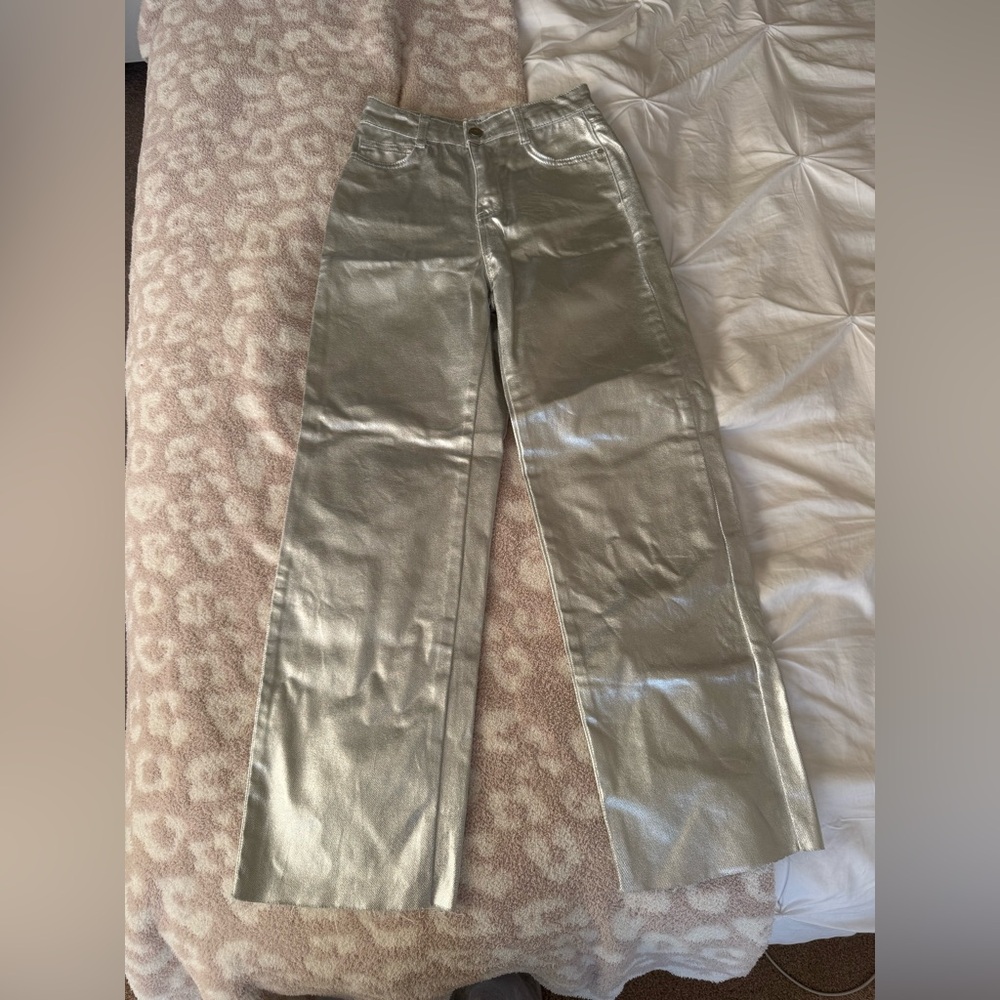 Zara Silver Pants